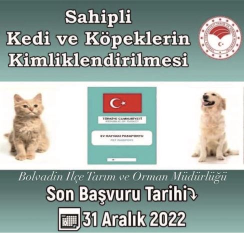 Evcil Hayvanlarda Mikroçip Süresi Daralıyor